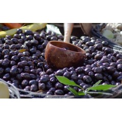 Black Oil Olive 650 gr.