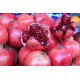 Pomegranate Sour  